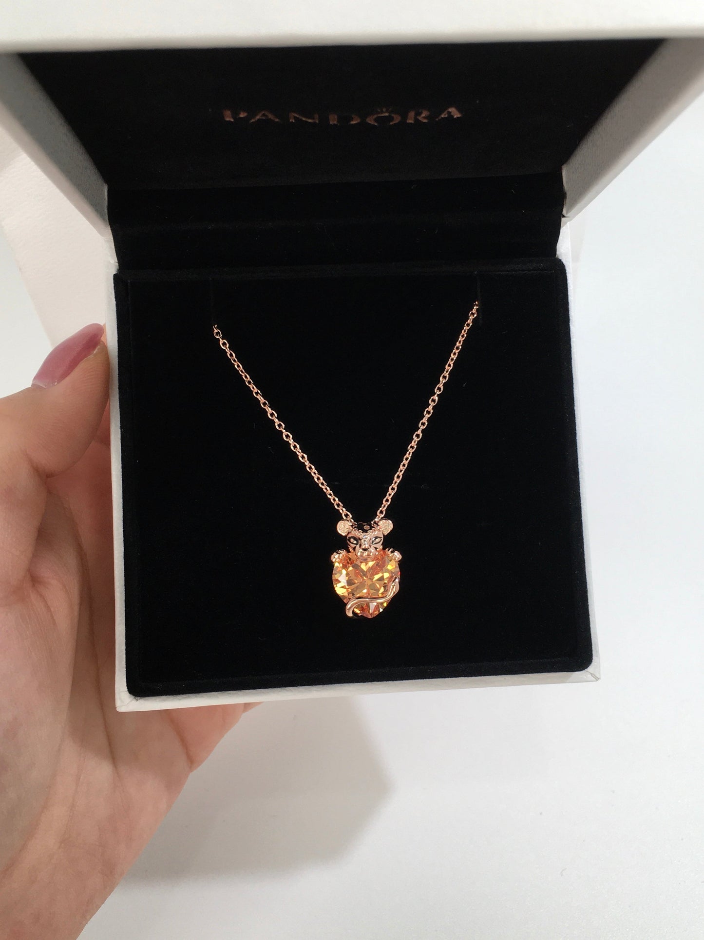 Colar Coragem de Uma Leoa