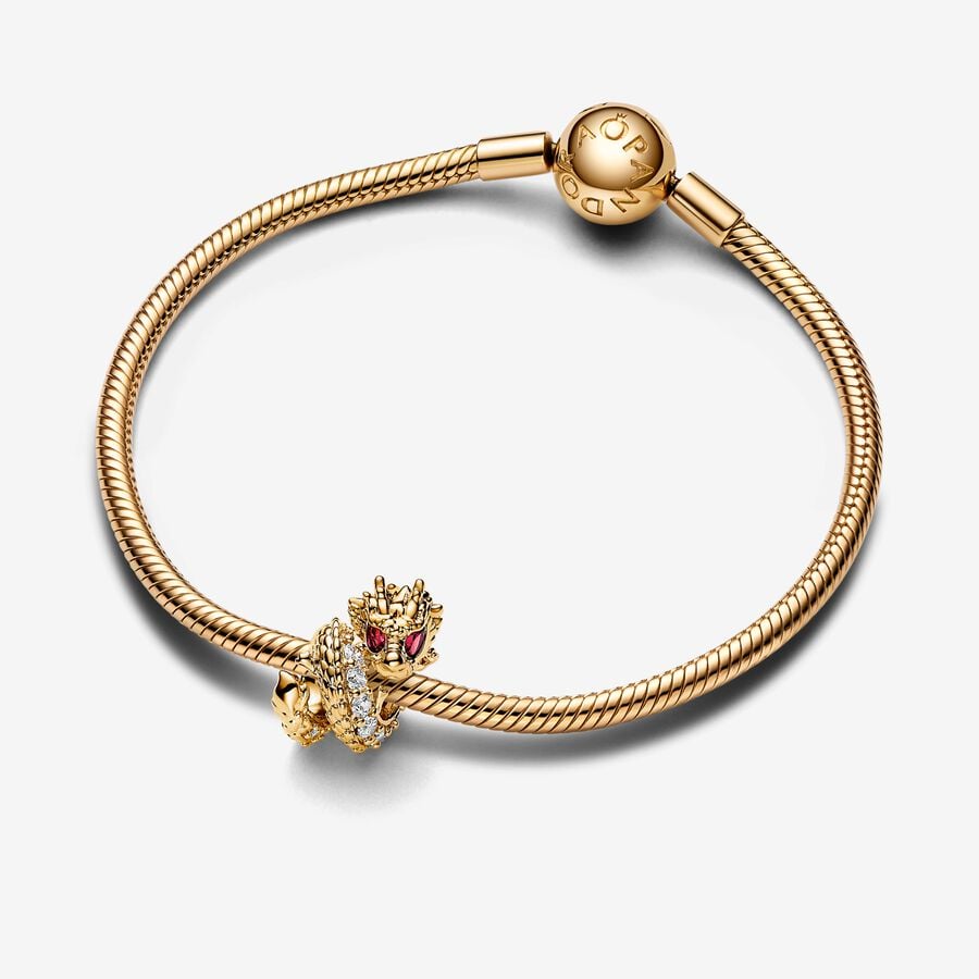 Charm Ano Chinês do Encanto do Dragão