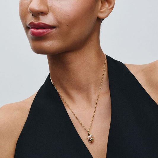 Charm Robô das Expressões