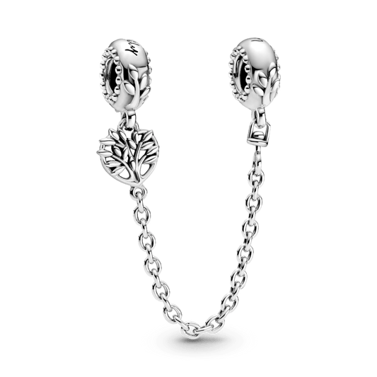 Corrente de Segurança Momentos