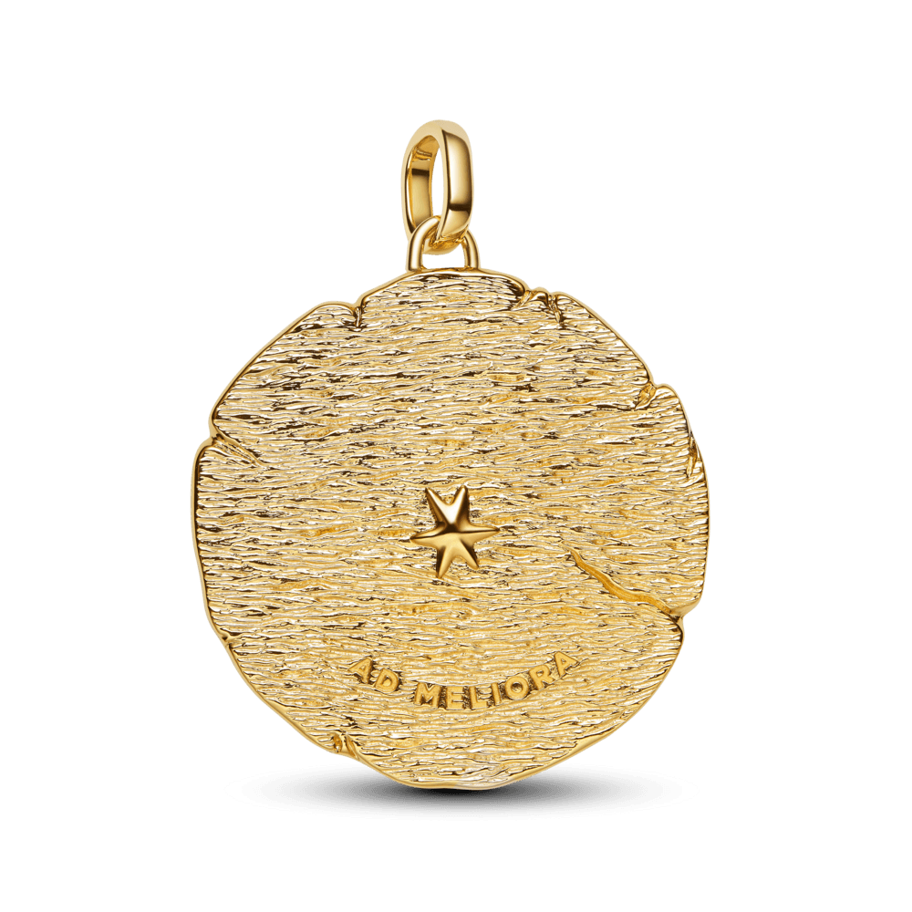 Charm Medalhão Flechas Dourado