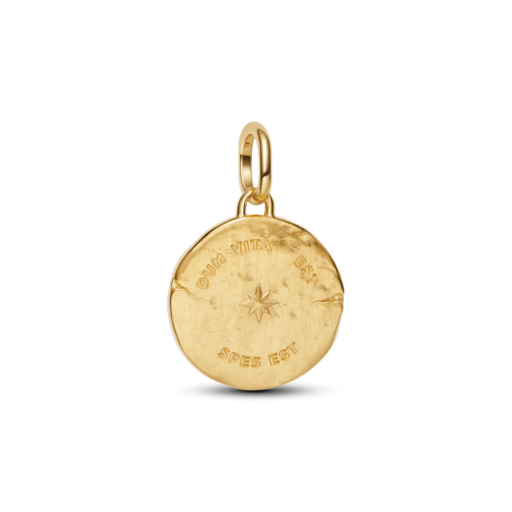 Charm Medalhão Andorinha Dourado