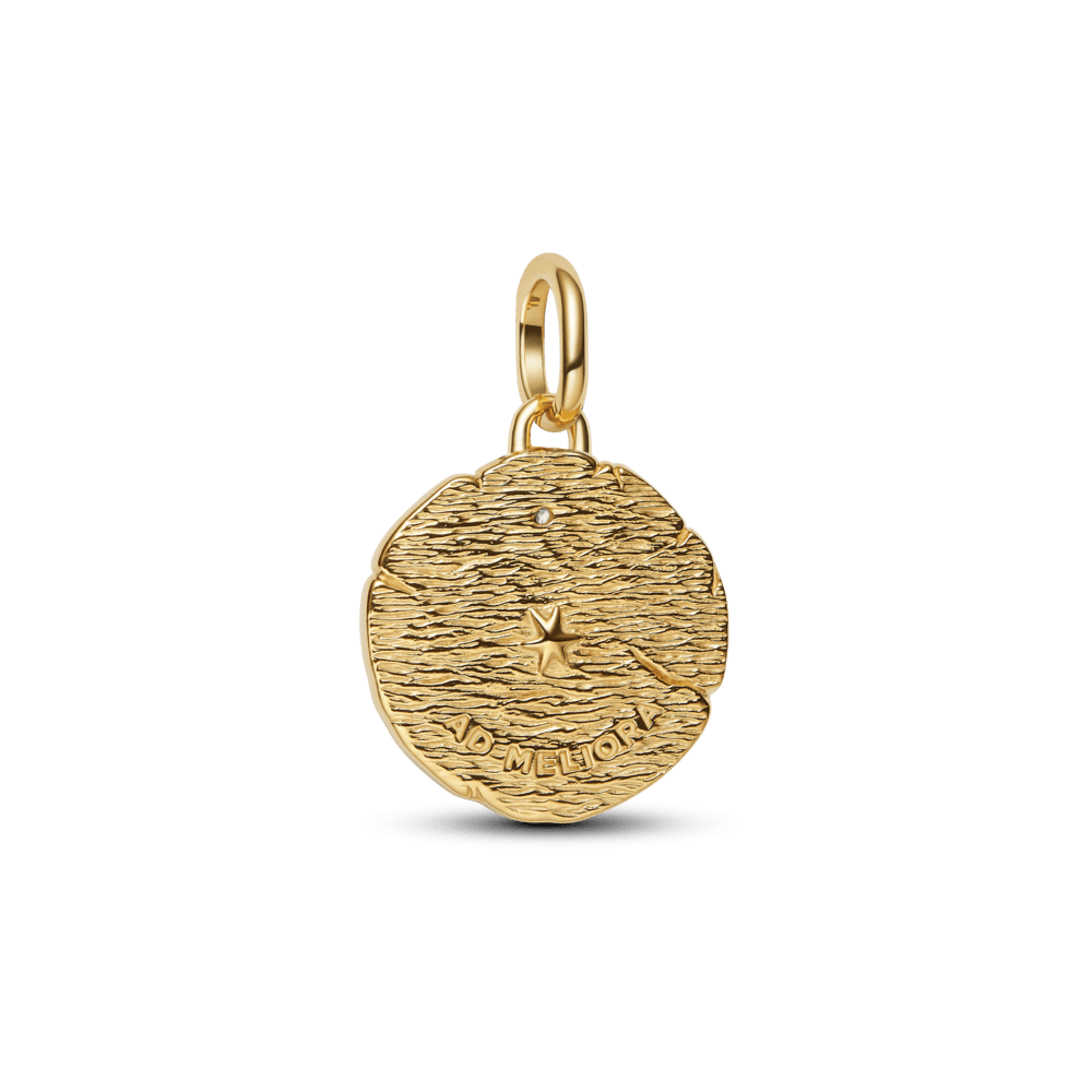 Charm Medalhão Flechas Dois Tons