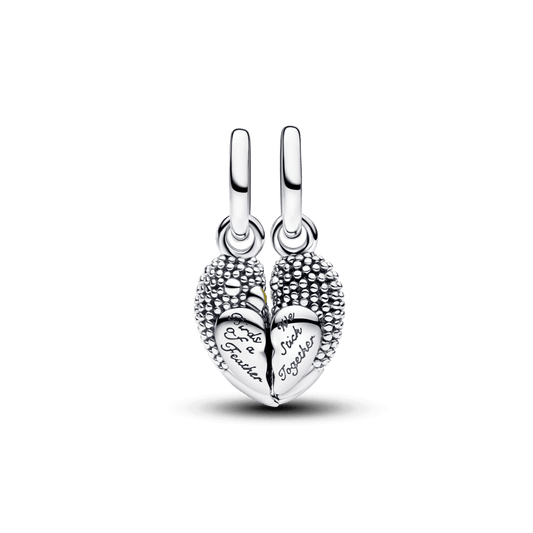 Charm Prata Pendente Duplo Pássaros Magnetico