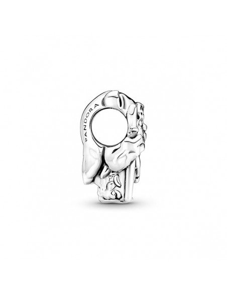 Charm Ewok
