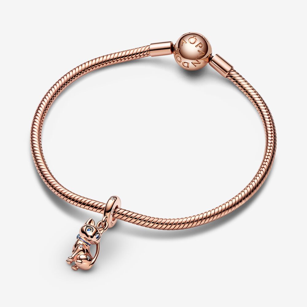 Charm Brilhante para Gato de Estimação de Estimação