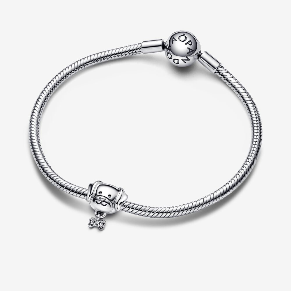 Charm Pet Cachorro e Osso