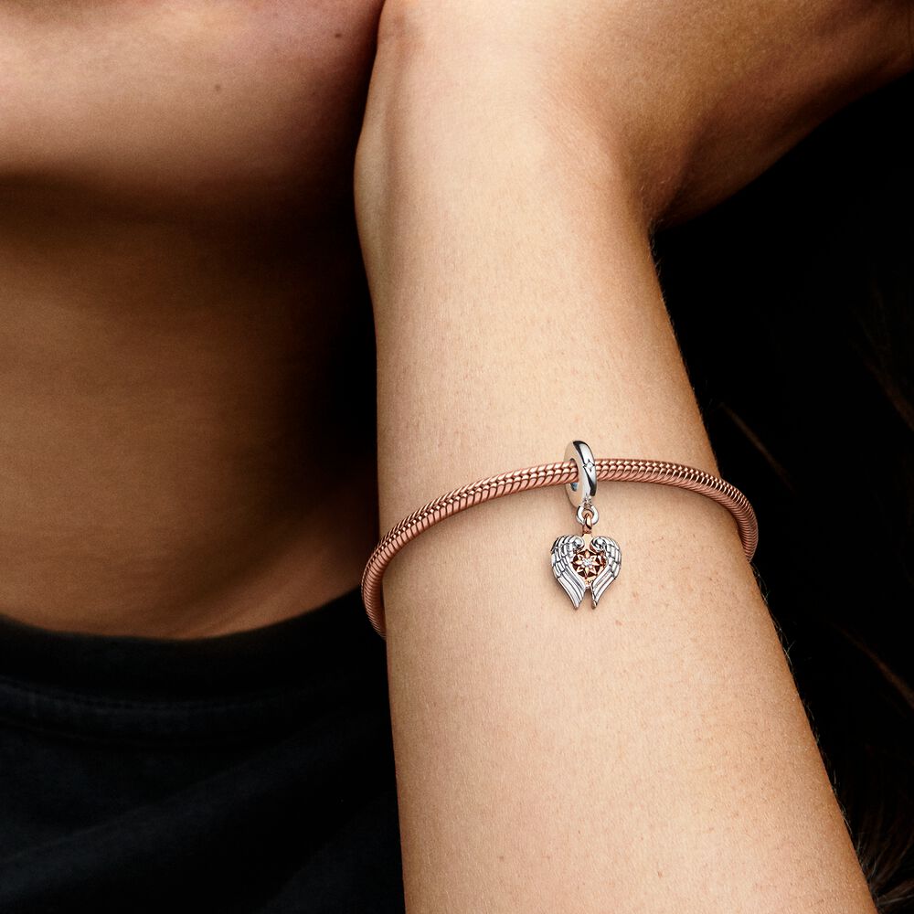 Charm Asas de Anjo e Bussola Celestial