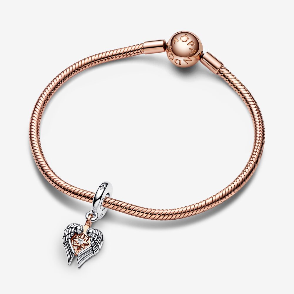 Charm Asas de Anjo e Bussola Celestial
