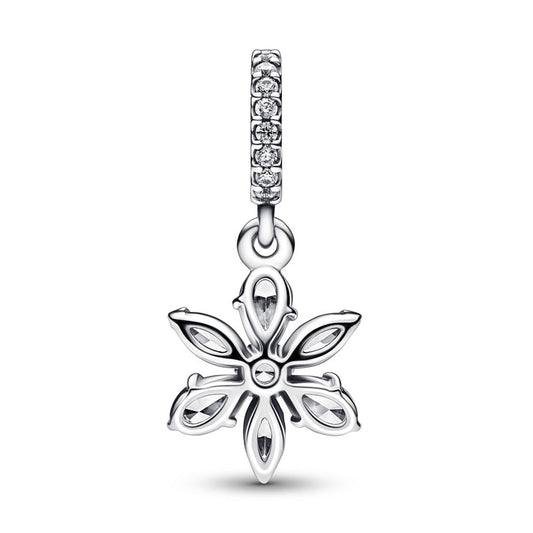 Charm Conjunto de Herbario